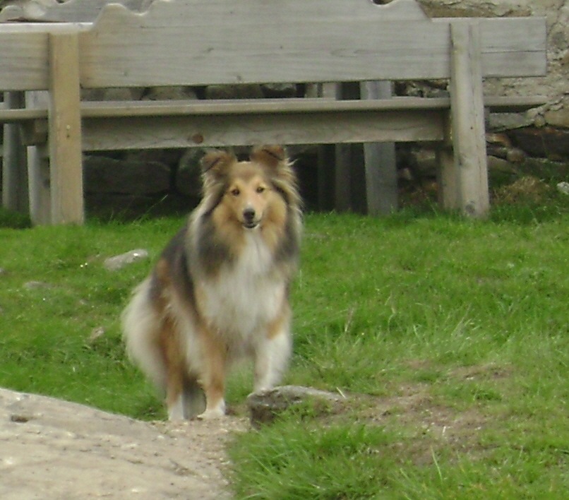 DSC01798