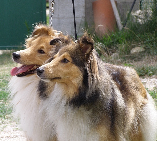 DuncanEnya3