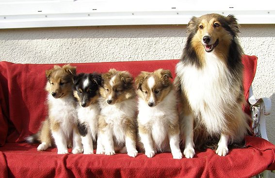 Familienfoto1