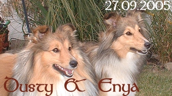Hochzeitsbild1