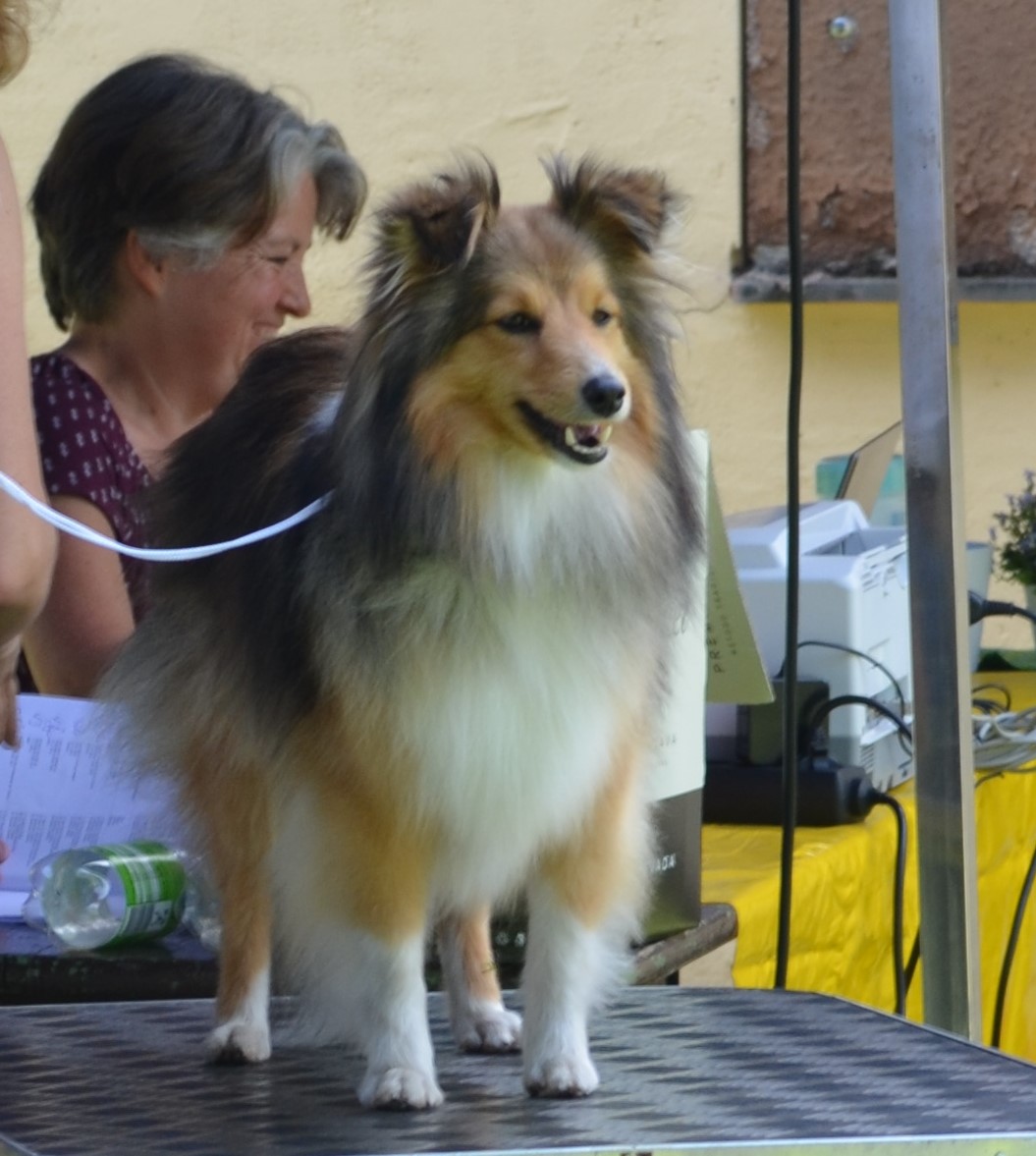 Igraine