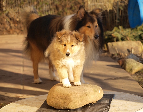 Parsley und Sam