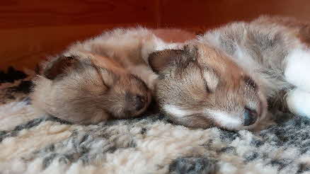Nolan und Norah1